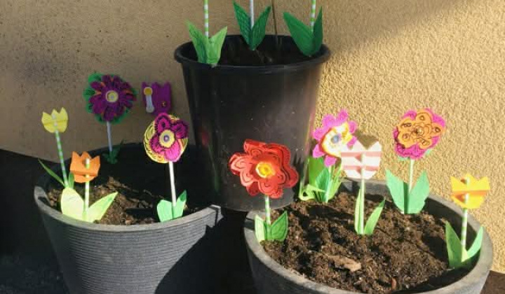 2. fotografia fotogalérie Rozvojový tím v akcii / Rozkvitnutá jar  - foto