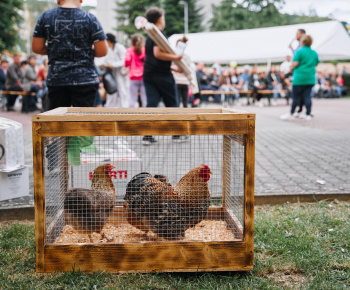 600.výročie 1.písomnej zmienky o obci Bzenov