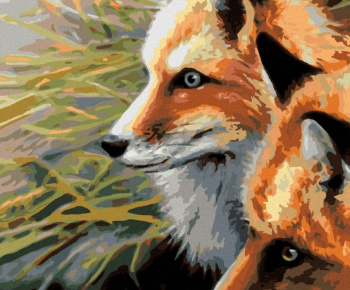 Aktuality / Oznam o vakcinácii líšok proti besnote - foto