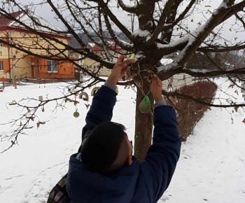 Rozvojový tím v akcii / Príroda v zime - foto