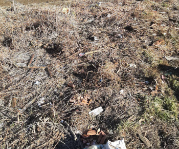 Rozvojový tím v akcii / Upratovanie domov a dvorov - foto