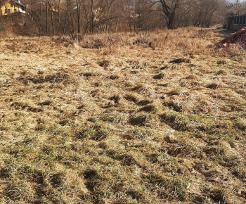 Rozvojový tím v akcii / Upratovanie domov a dvorov - foto