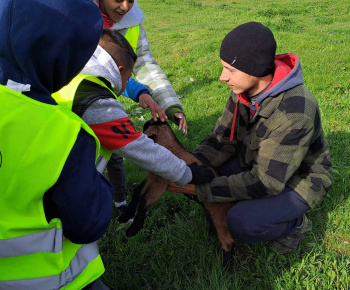 Rozvojový tím v akcii / Výlet na farmu Bella Radatice - foto