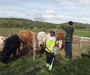 Rozvojový tím v akcii / Výlet na farmu Bella Radatice - foto