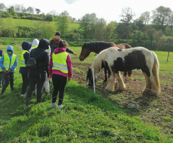 Rozvojový tím v akcii / Výlet na farmu Bella Radatice - foto