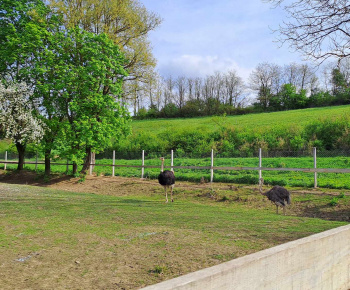 Rozvojový tím v akcii / Výlet na farmu Bella Radatice - foto