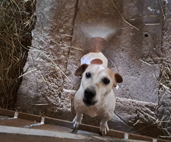 Rozvojový tím v akcii / Výlet na farmu Bella Radatice - foto