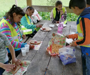 Rozvojový tím v akcii / Spoznávanie lesa - foto