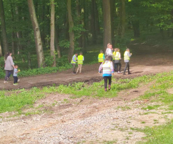 Rozvojový tím v akcii / Spoznávanie lesa - foto
