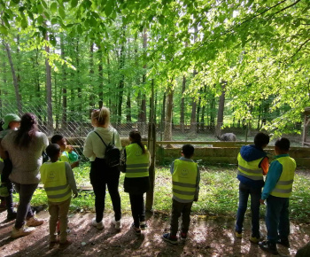 Rozvojový tím v akcii / Spoznávanie lesa - foto