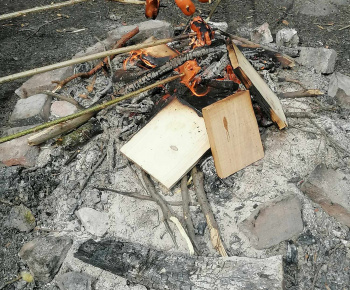 Rozvojový tím v akcii / Spoznávanie lesa - foto