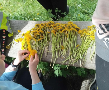 Rozvojový tím v akcii / Kreatívne tvorenie a zábava s púpavou - foto