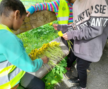 Rozvojový tím v akcii / Kreatívne tvorenie a zábava s púpavou - foto
