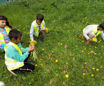 Rozvojový tím v akcii / Kreatívne tvorenie a zábava s púpavou - foto