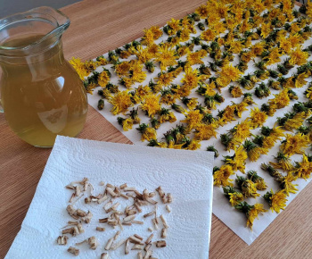 Rozvojový tím v akcii / Kreatívne tvorenie a zábava s púpavou - foto