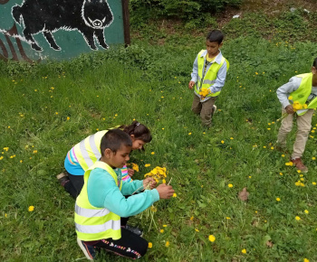Rozvojový tím v akcii / Kreatívne tvorenie a zábava s púpavou - foto