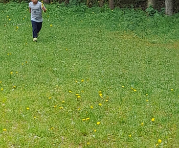 Rozvojový tím v akcii / Kreatívne tvorenie a zábava s púpavou - foto