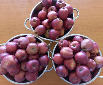 Rozvojový tím v akcii / Poďme zdraviu naproti - foto