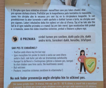 Rozvojový tím v akcii / Prevencia umývania rúk - foto