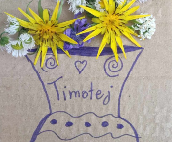 Rozvojový tím v akcii / Rozkvitnime - foto