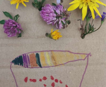 Rozvojový tím v akcii / Rozkvitnime - foto