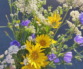 Rozvojový tím v akcii / Rozkvitnime - foto