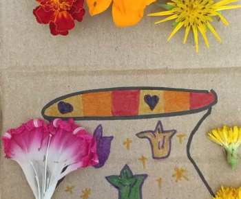 Rozvojový tím v akcii / Rozkvitnime - foto