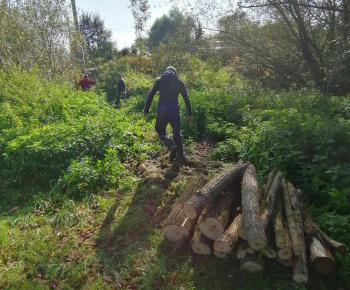 Rozvojový tím v akcii / Odstránenie popadaných stromov - foto