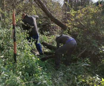 Rozvojový tím v akcii / Odstránenie popadaných stromov - foto