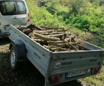 Rozvojový tím v akcii / Odstránenie popadaných stromov - foto