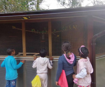 Rozvojový tím v akcii / Ekopark Holá Hora v Prešove - foto