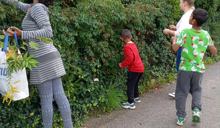 4. fotografia fotogalérie Rozvojový tím v akcii /  Farebná jeseň v lese  - foto