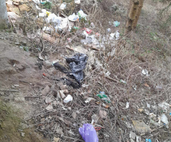 Rozvojový tím v akcii / STARÁME SA O ČISTOTU A KRÁSU NÁŠHO BZENOVA - foto