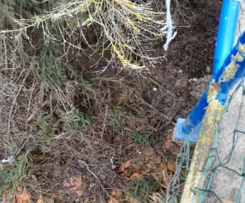 Rozvojový tím v akcii / STARÁME SA O ČISTOTU A KRÁSU NÁŠHO BZENOVA - foto