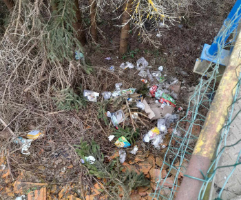 Rozvojový tím v akcii / STARÁME SA O ČISTOTU A KRÁSU NÁŠHO BZENOVA - foto