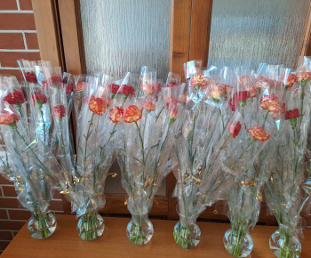 Rozvojový tím v akcii / Medzinárodný deň žien - foto