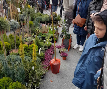 Rozvojový tím v akcii / Výstava záhradníctva a pracovných nástrojov - foto