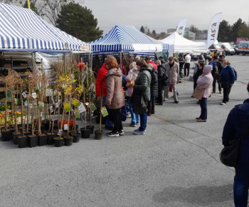 Rozvojový tím v akcii / Výstava záhradníctva a pracovných nástrojov - foto