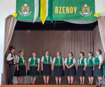 Rozvojový tím v akcii / Súťaž folklórnych súborov - foto