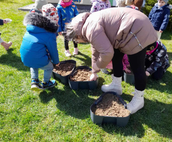 Rozvojový tím v akcii / Sadenie jarných byliniek - foto