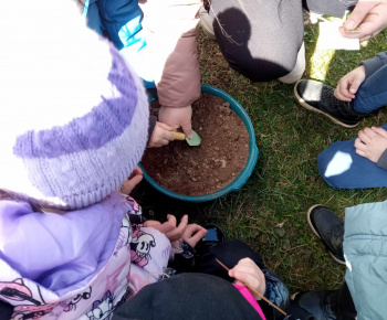 Rozvojový tím v akcii / Sadenie jarných byliniek - foto