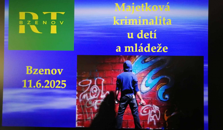2. fotografia fotogalérie Rozvojový tím v akcii / Majetková kriminalita u detí a mládeže - foto