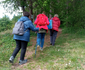 Rozvojový tím v akcii / Možné nástrahy v lese - foto