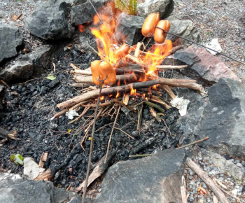 Rozvojový tím v akcii / Možné nástrahy v lese - foto