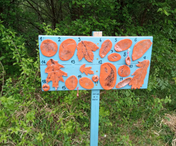 Rozvojový tím v akcii / Možné nástrahy v lese - foto