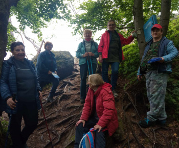 Rozvojový tím v akcii / Možné nástrahy v lese - foto