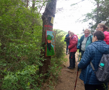 Rozvojový tím v akcii / Možné nástrahy v lese - foto