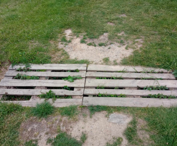 Rozvojový tím v akcii / Získanie pracovných zručností pre budúcich majstrov  - foto