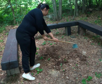 Rozvojový tím v akcii / Budovanie ohniska pri posedení v lese - foto