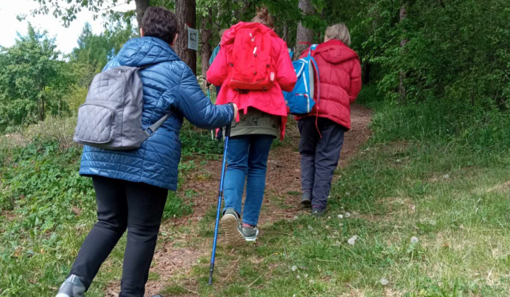 2. fotografia fotogalérie Rozvojový tím v akcii / Možné nástrahy v lese - foto